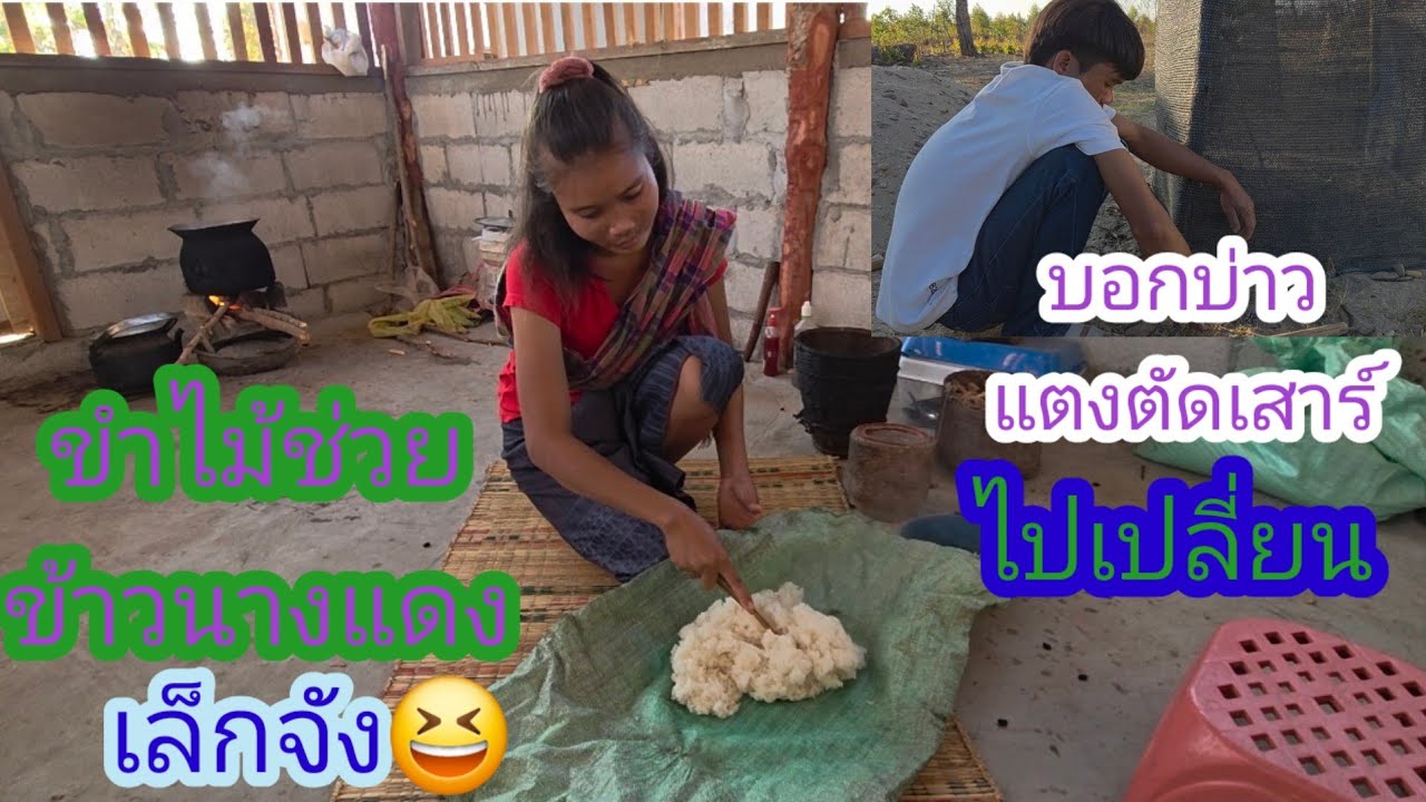 บอกบ่าวแตงตัดเสาร์ไปเปลี่ยน ไม้ช่วยข้าวนางแดงทำไมน้อยจัง😄✌️