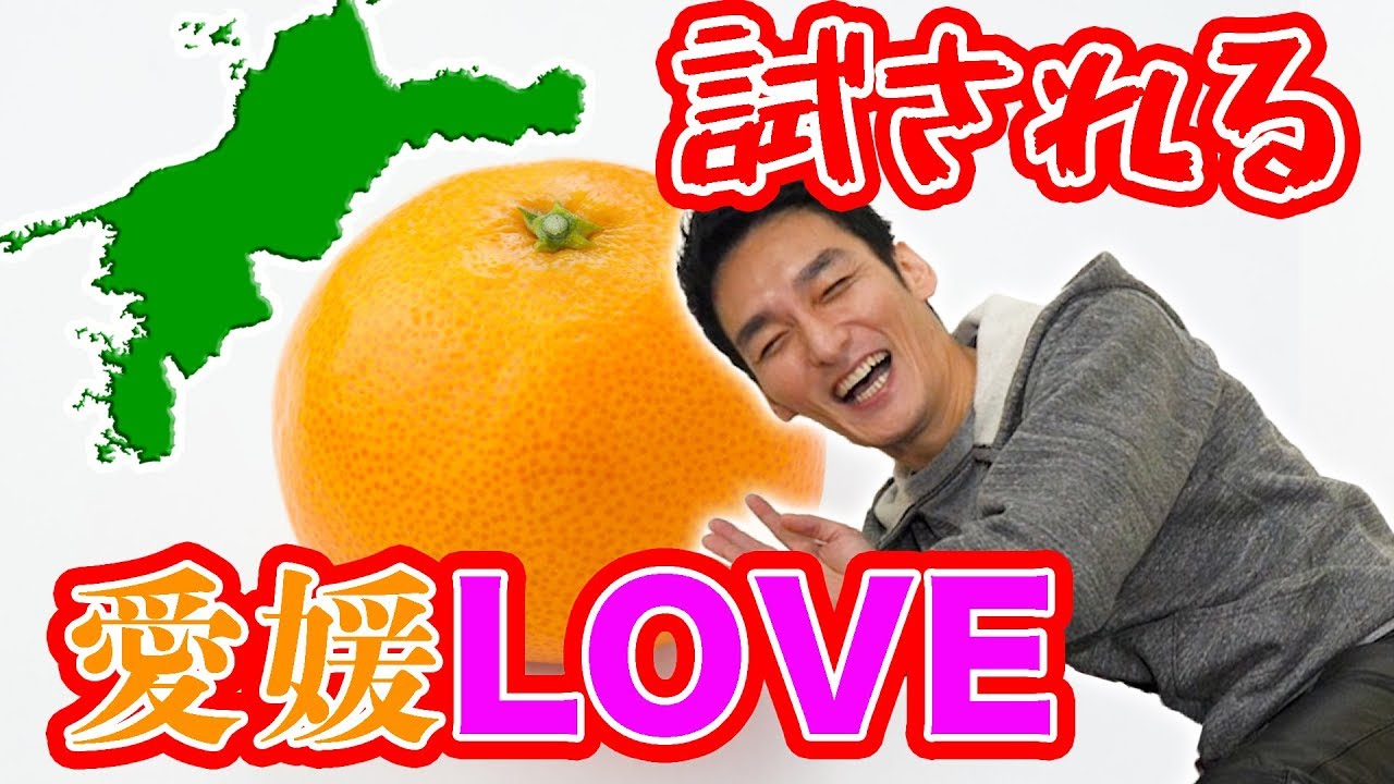つよぽんが挑む！愛媛県王選手権！！