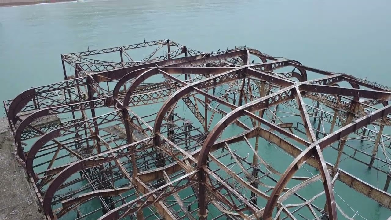 up close and personal with. comerants on West pier Brighton