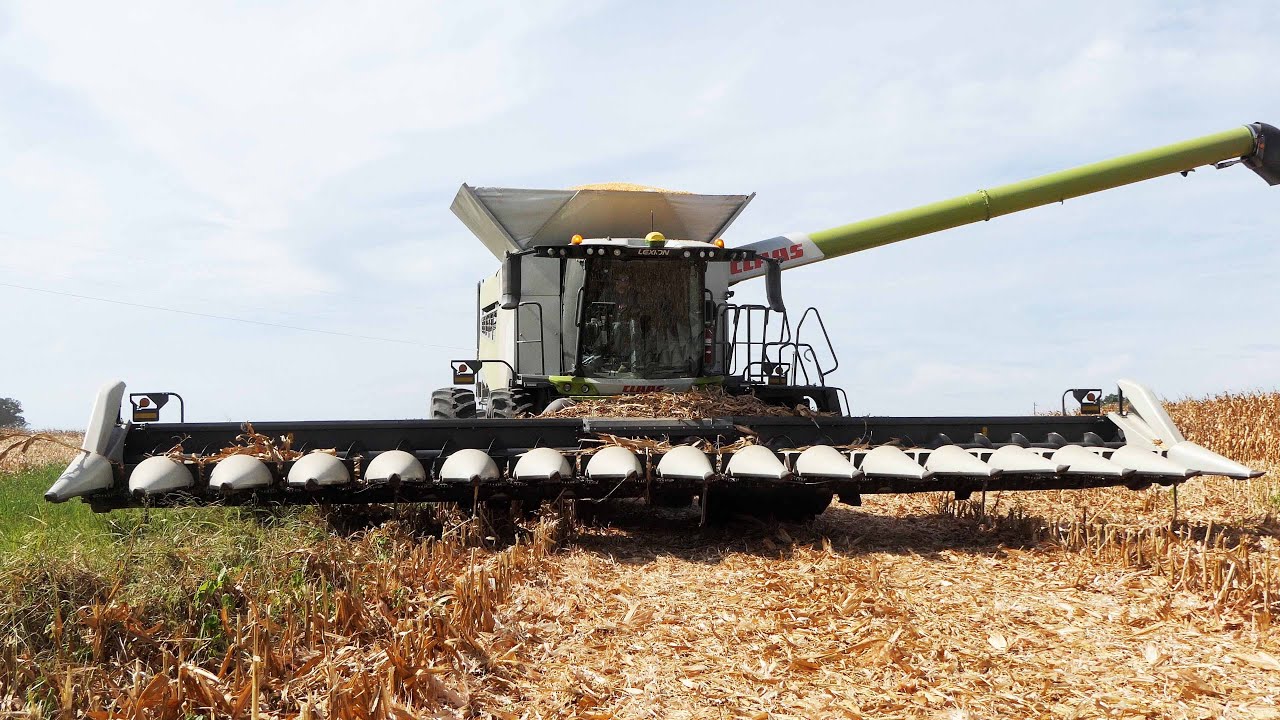 CORN HARVEST 2024 - CLAAS LEXION 8600