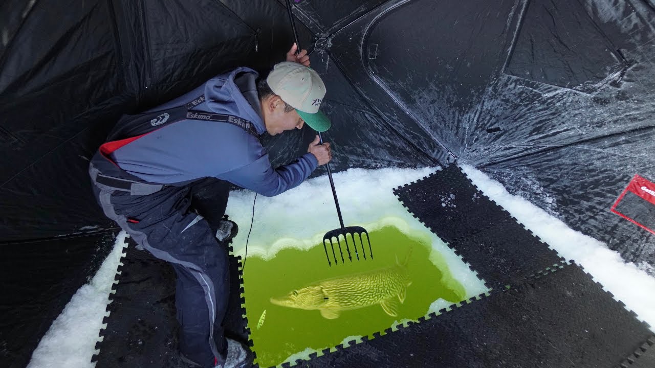 Darkhouse Spearing BIG Fish Through First Ice! (CATCH CLEAN COOK)