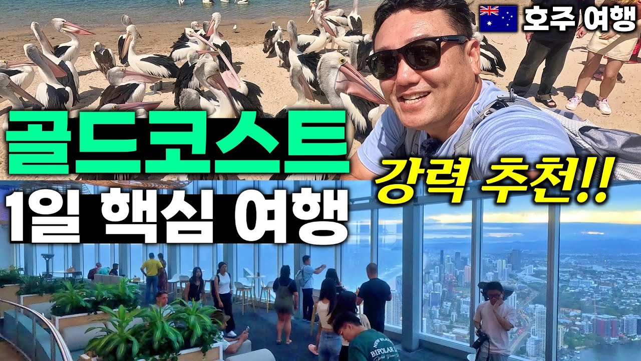 골드코스트 핵심 여행 | 펠리컨 먹이주기 이벤트 | 서퍼스 파라다이스 비치 | 스카이 포인트 전망대 - 골드코스트, 호주 | 호주&뉴질랜드 여행[3]