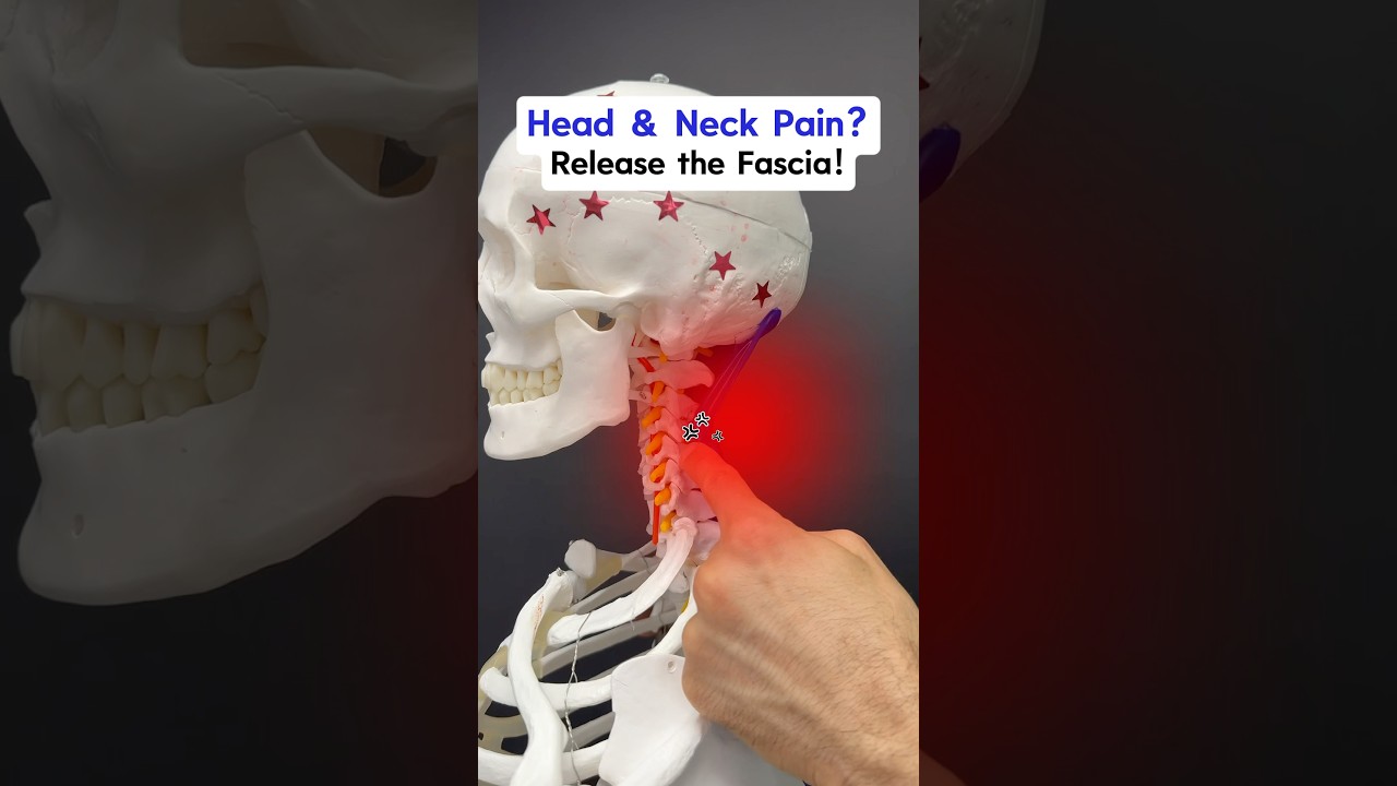 Got Head & Neck Pain? Try this FASCIAL Release! #fascia #neckpain #neckpainrelief #headaches