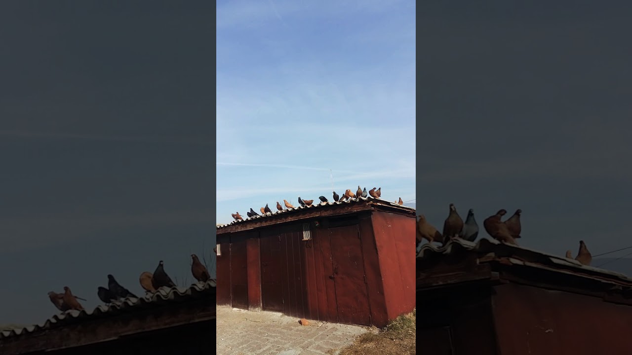 Kutat e Ekremit Mitrovicë 