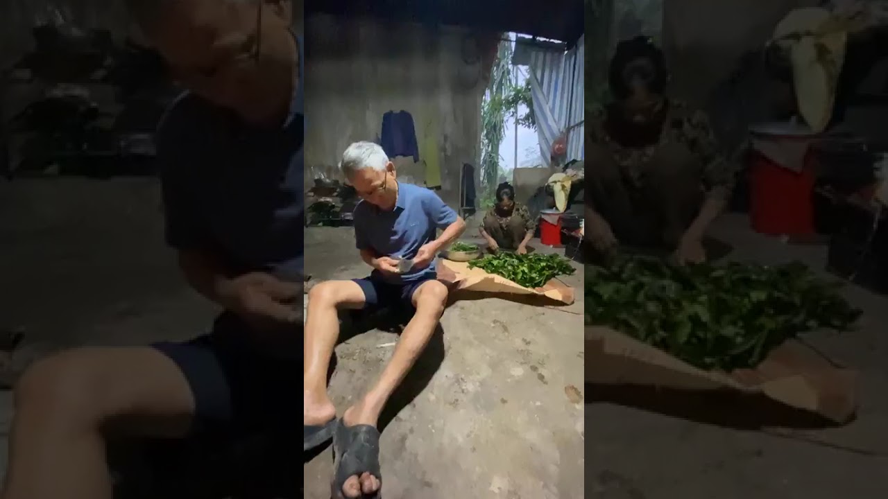Bố mẹ chồng quốc dân mà mọi nàng dâu Việt Nam đều ao ước Trần Thị Lam và Nguyễn Đình Thảo