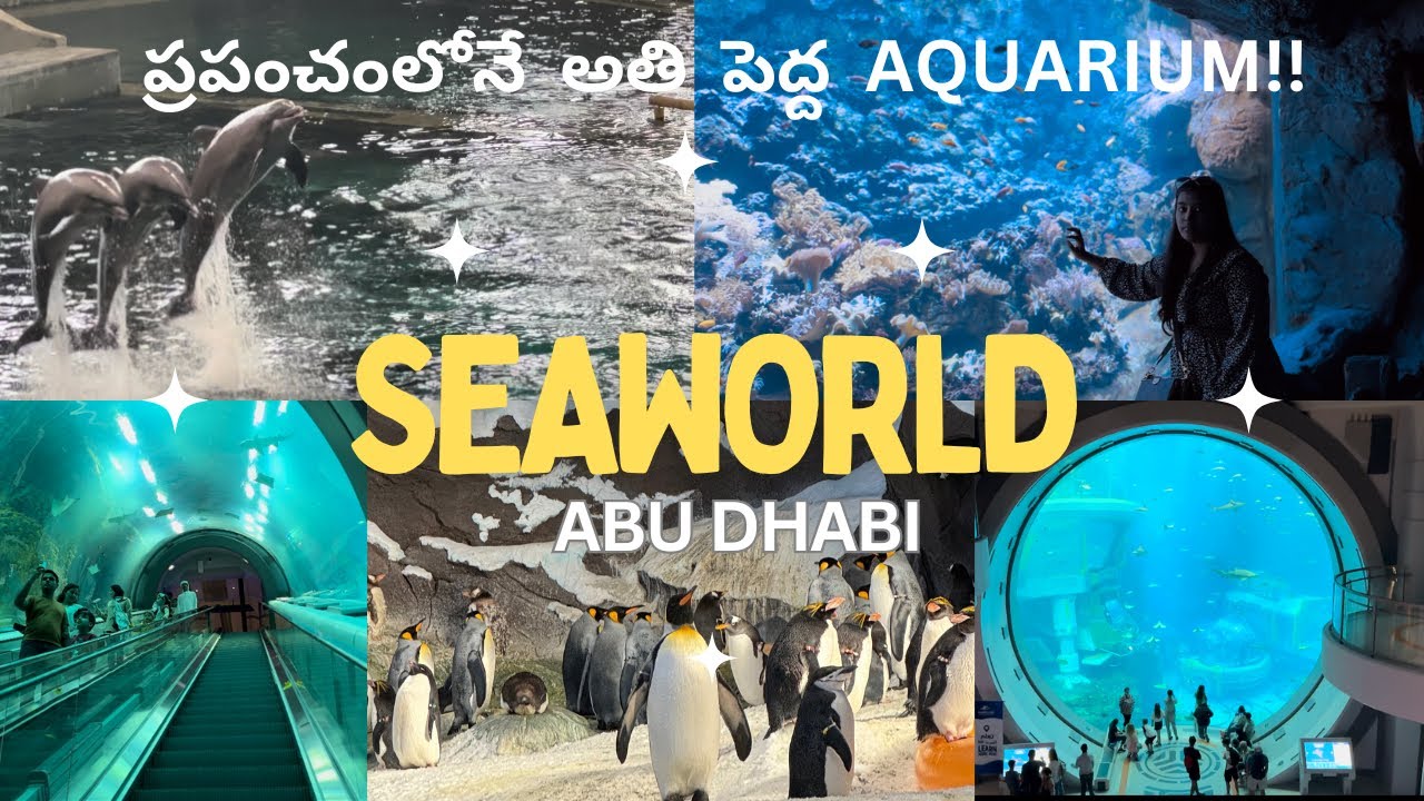 SeaWorld | Yas Island | Abu Dhabi Trip - Day 1 | తెలుగు | Bhargavi Viswanath #abudhabi #vlog #dubai