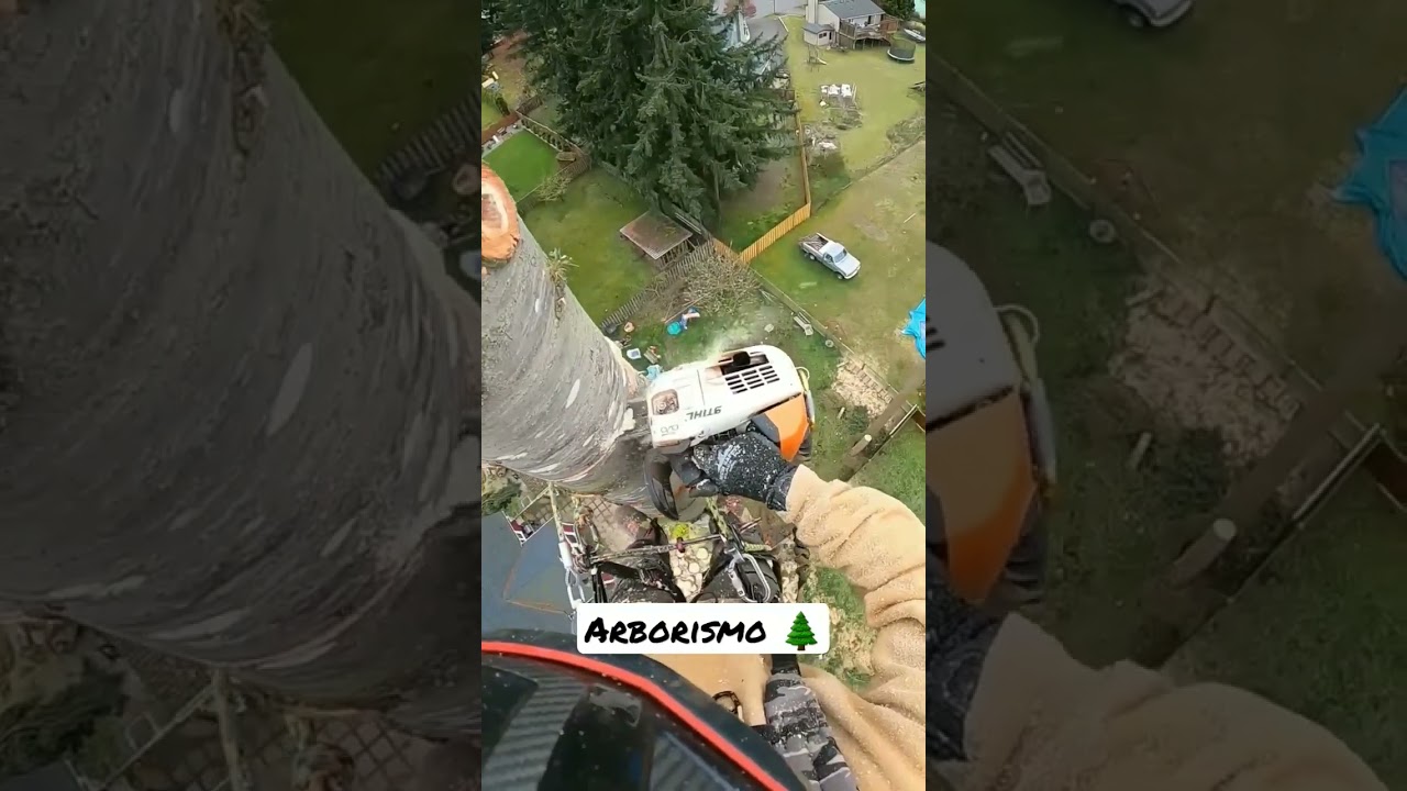 Arborismo no capricho! 🔥 Se  inscreva em nosso canal AJ M&aacute;quinas & Motores #motosserra #stihl