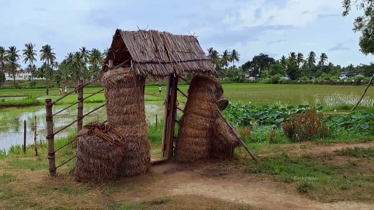 Palakkad one day trip | food explore and sceneries 