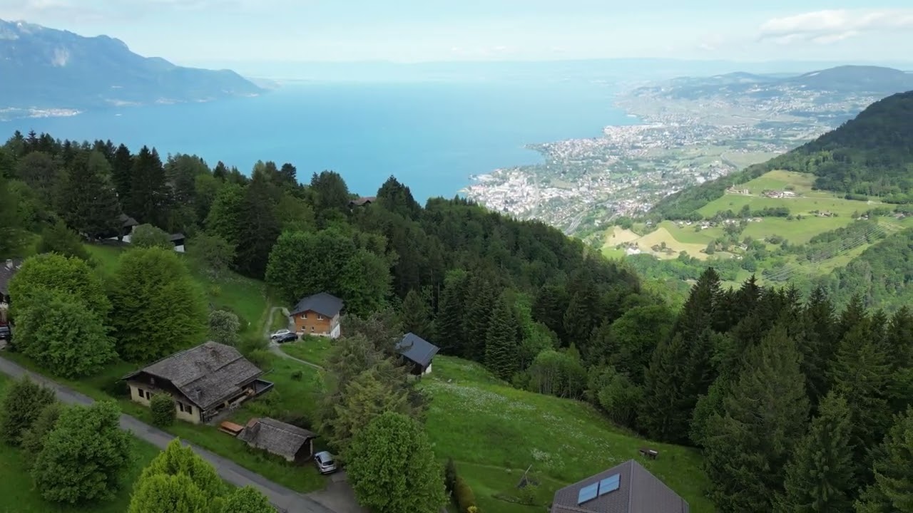 Haut de Caux - 2025 May 24