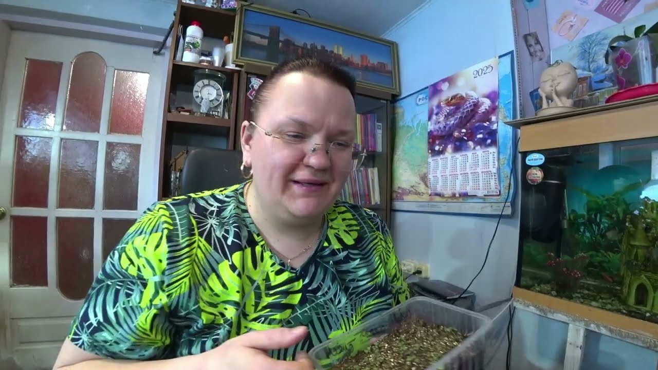 Отвечаю на вопросы зрителей. Часть 40