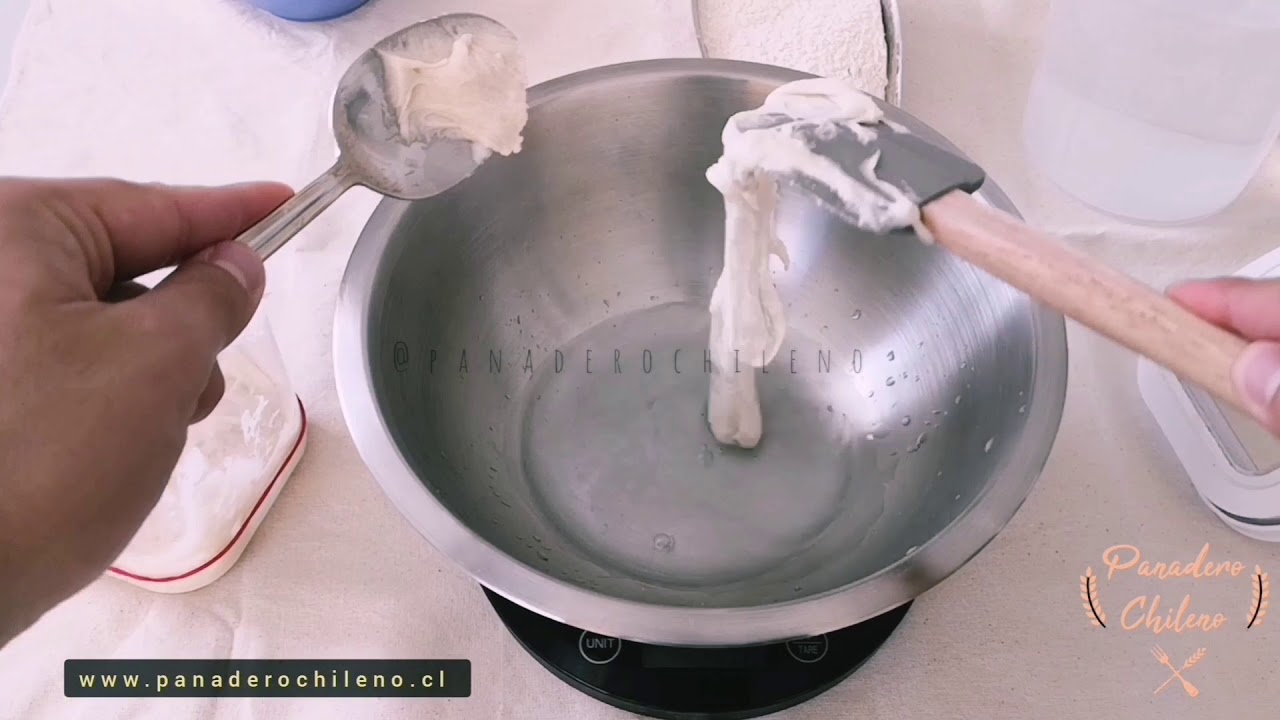 transforma tu masa madre líquida a sólida