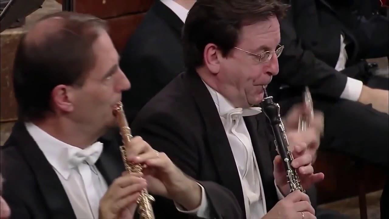 Beethoven - Symphony No 7 in A major, Op 92 II, Allegretto (Thielemann)