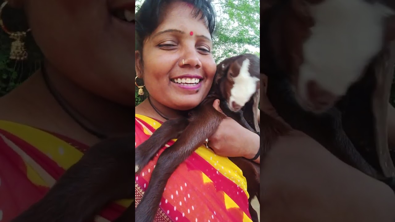 मेरा ब्लॉक अच्छा लगा तो लाइक कमेंट शेयर जरूर करें