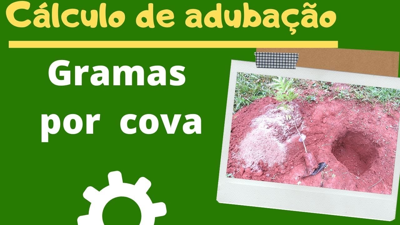 Como calcular adubação em gramas por cova?