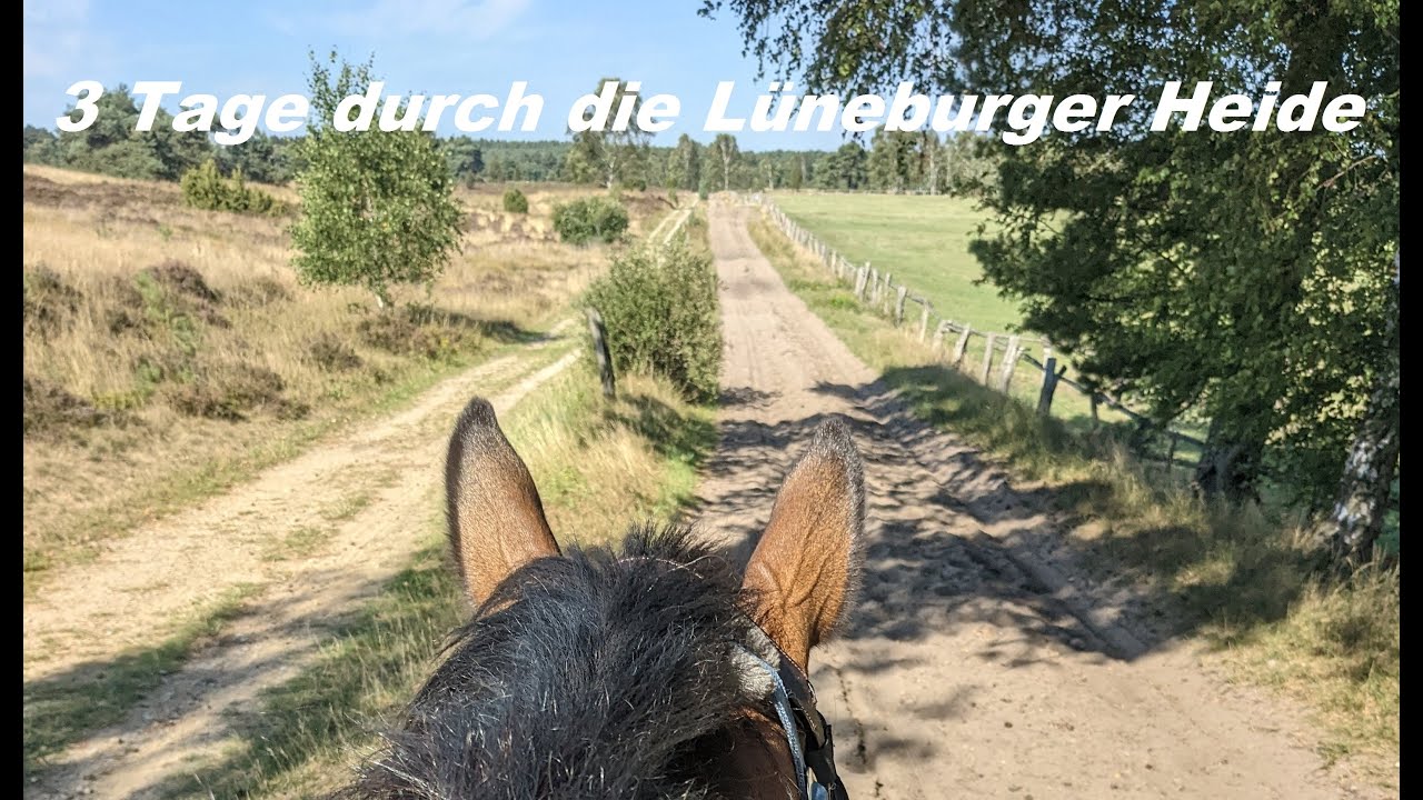 Wanderritt mit Hunden Lüneburger Heide 3 Tage | Wanderreiten |Wanderritte zum Nachreiten