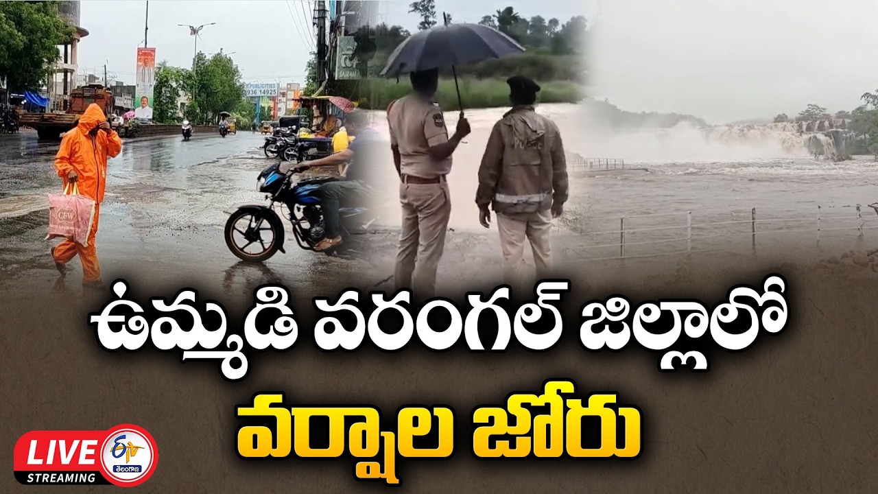Heavy Rains Lash Old Warangal District | Water Levels Rise :🔴LIVE