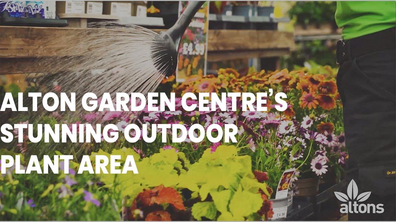 Our Beautiful Plant Area - Alton Garden Centre