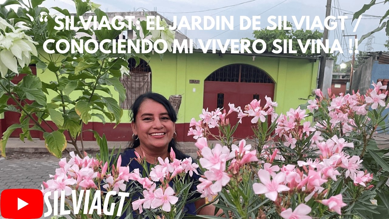 EL JARDIN DE SILVIAGT: 