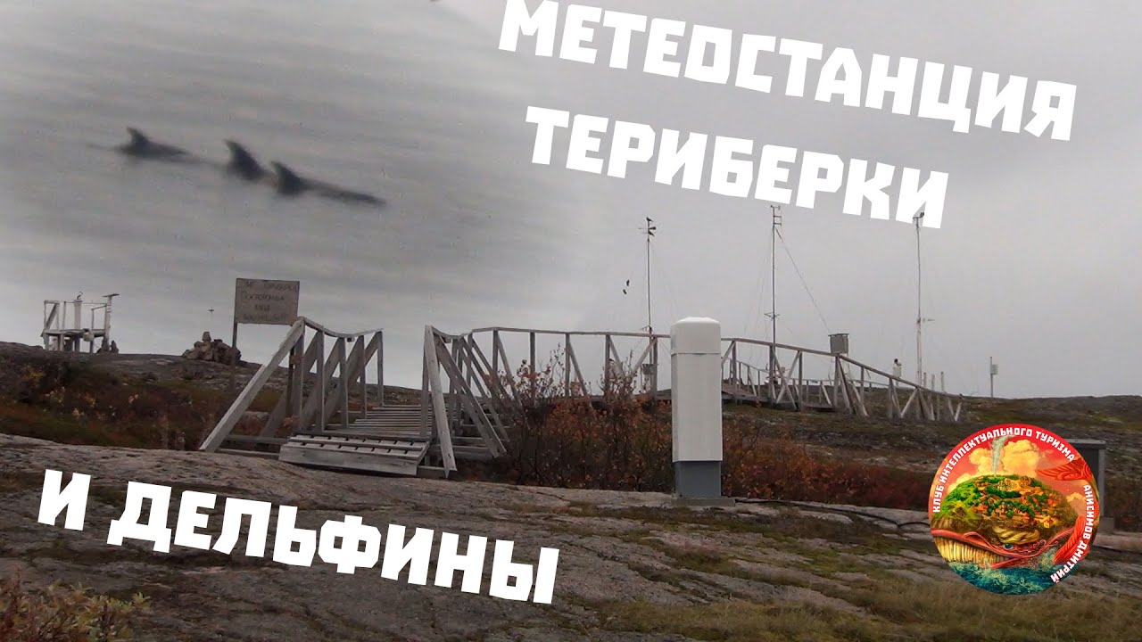 Морская гидрометеорологическая станция «Териберка», метеостанция на Кольском полуострове, дельфины