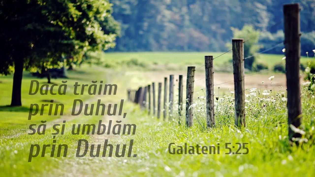 Duminică 18.01.2026