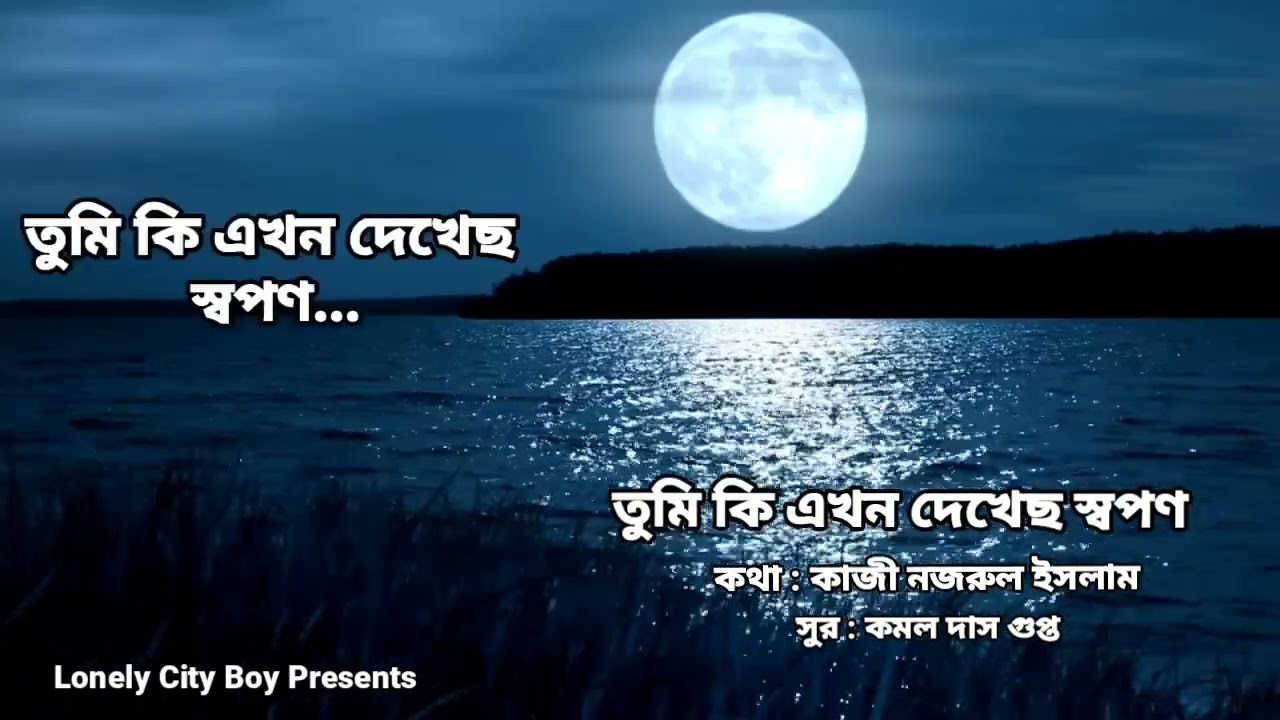 তুমি কি এখন দেখেছ স্বপণ - কারাওকে সং 