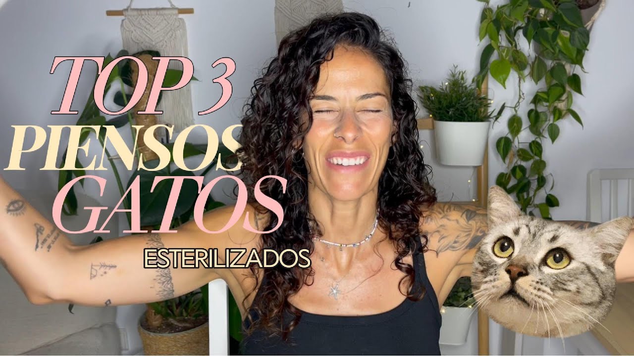 MEJORES PIENSOS PARA GATOS ESTERILIZADOS | MI TOP 3 😻