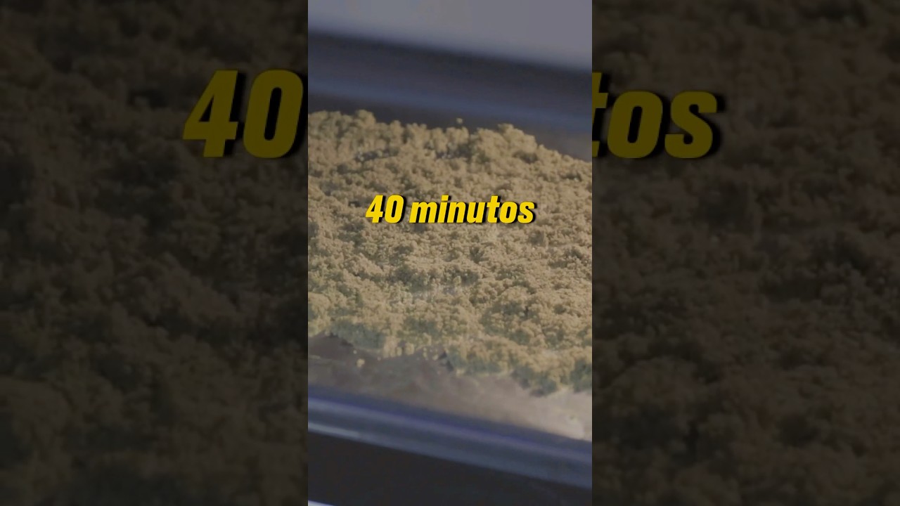 Mantequilla Cann&aacute;bica