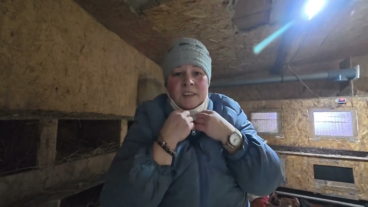 Обзор нашего хозяйства