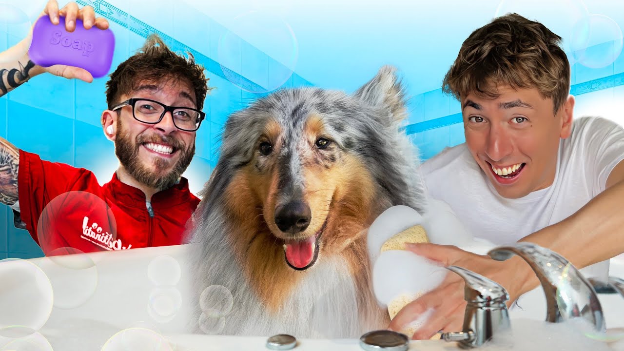 Porto il Mio Cane dal TOELETTATORE più Famoso d'Italia🐶