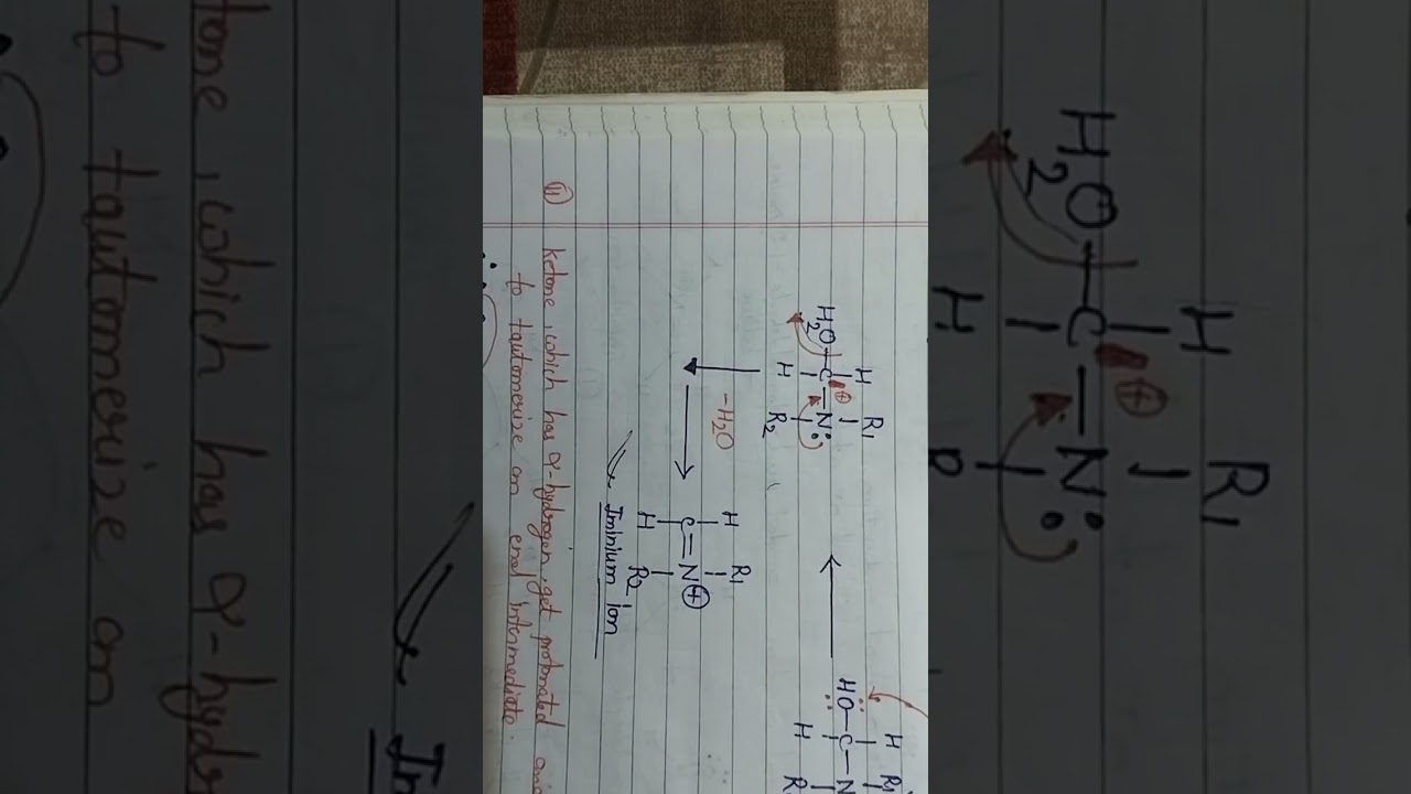 (Mannich reaction) synthesis,full mechanism and application (