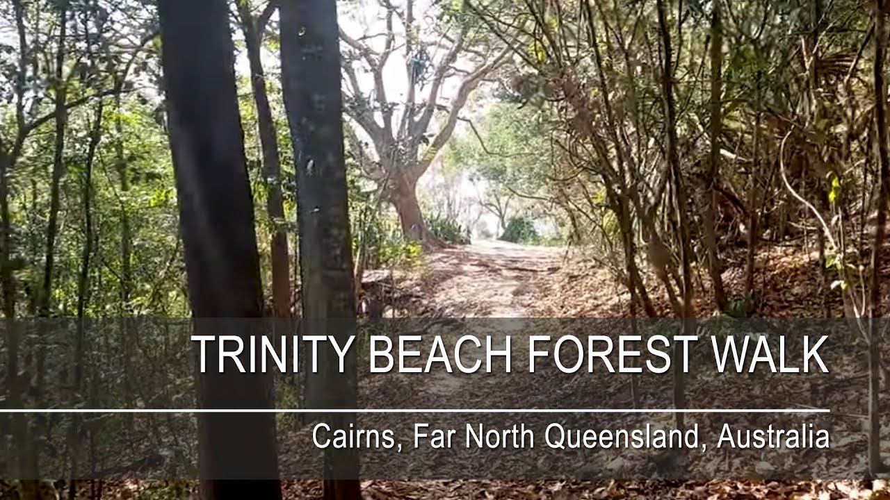 Hiking alone through coastal rainforest to Trinity Beach in Cairns, Australia
