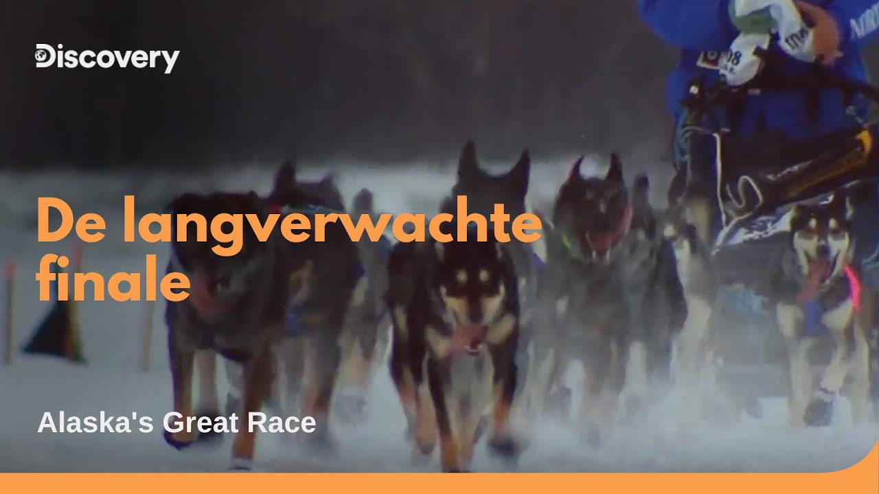 Ultieme Sledehondensport Door Alaska | Alaska's Great Race