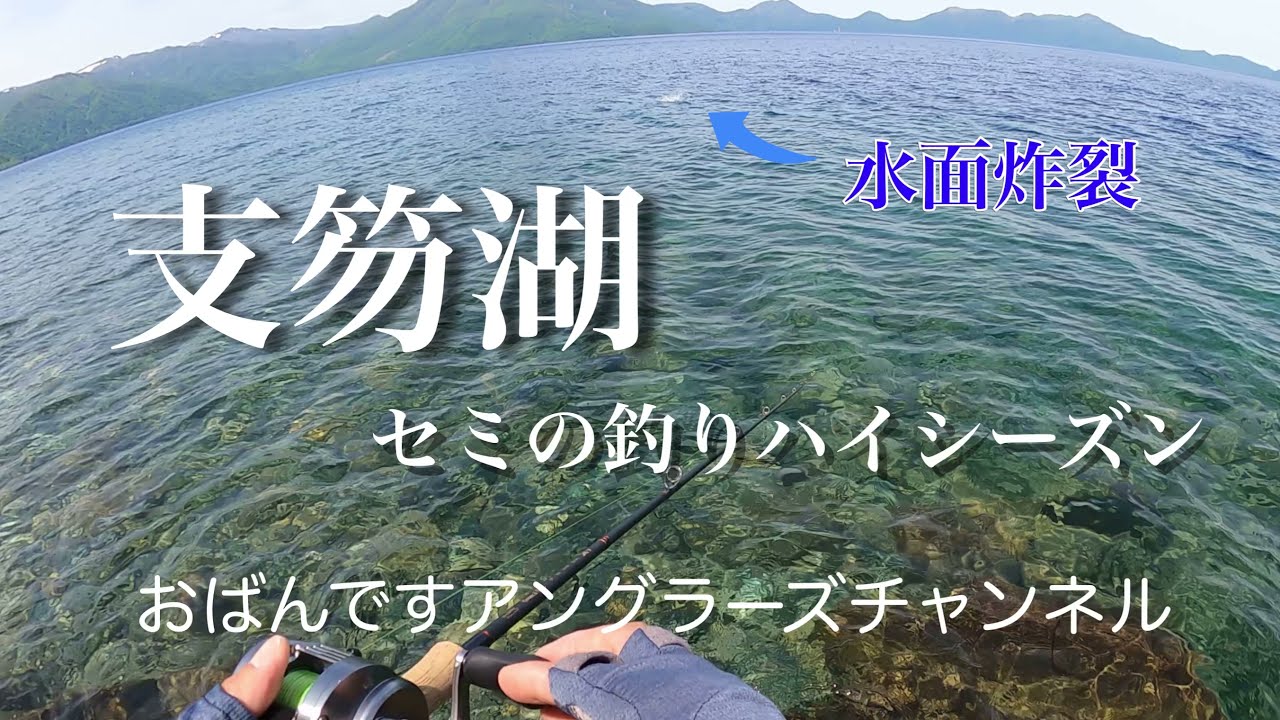 支笏湖のセミパターン