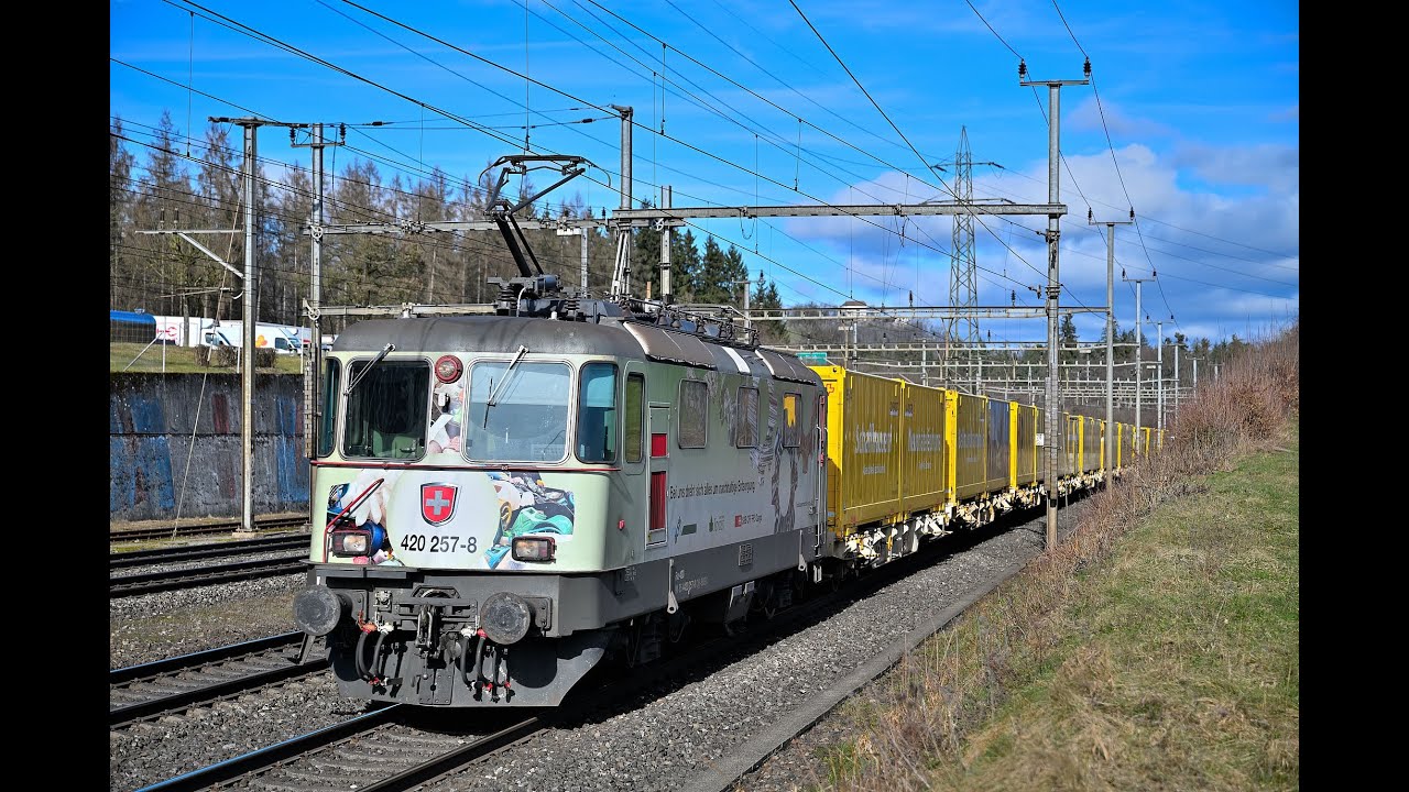 Bahnverkehr Othmarsingen 6 Februar 2024: SBB Jubiläumslok und Knie BoBo, Re6/6, DB