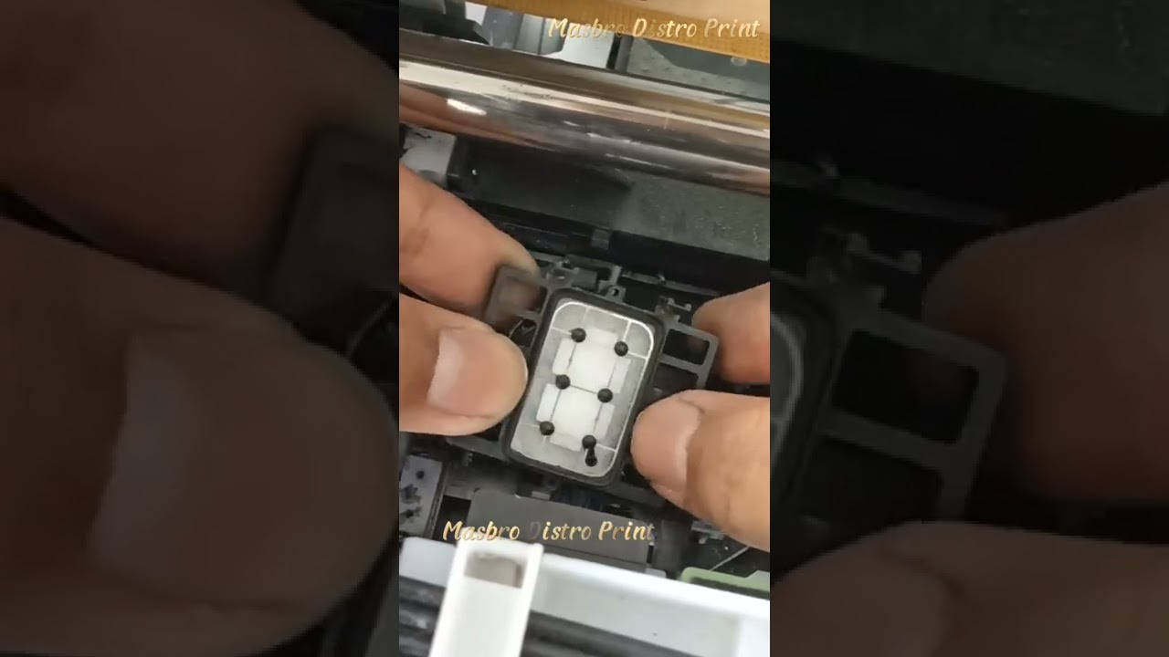 Cara Lepas Pasang Ganti Capping Station Printer DTF DTG UV Riecat Epson L1800