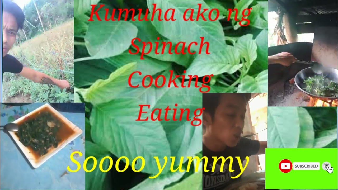 Simpleng ulam#spinach with sardines##probinsyanong puge