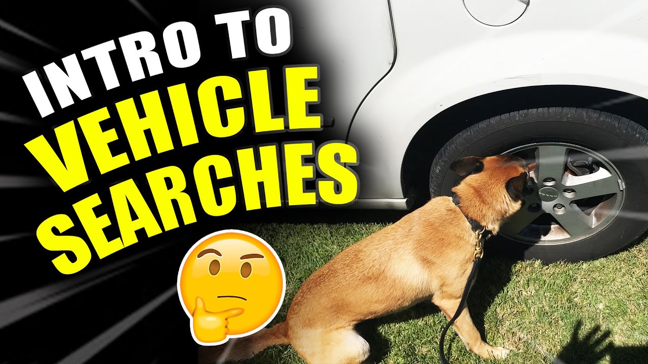Intro to Vehicle Searches