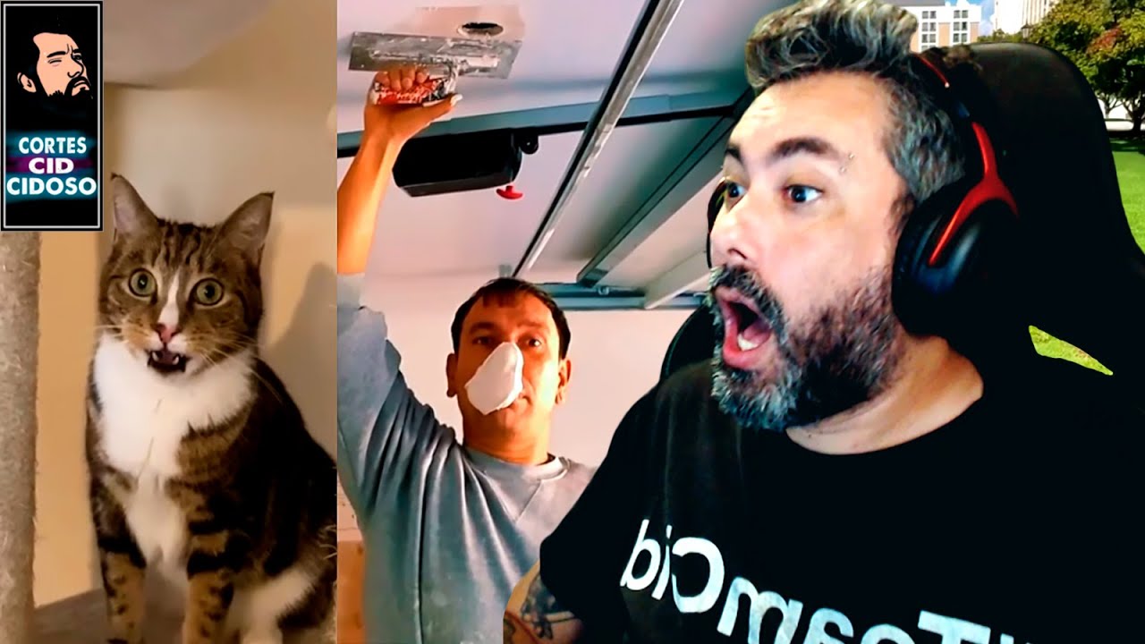 POR FAVOR, ACEITE ESTA DOSE DE INTERNET | CORTES CIDCIDOSO [OFICIAL]