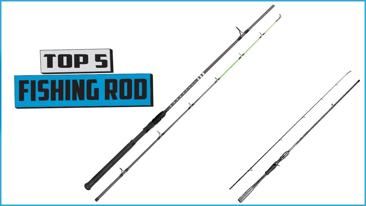 fishing rod review | fishing | best fishing rod | top fishing rods | best fishing rod 2024