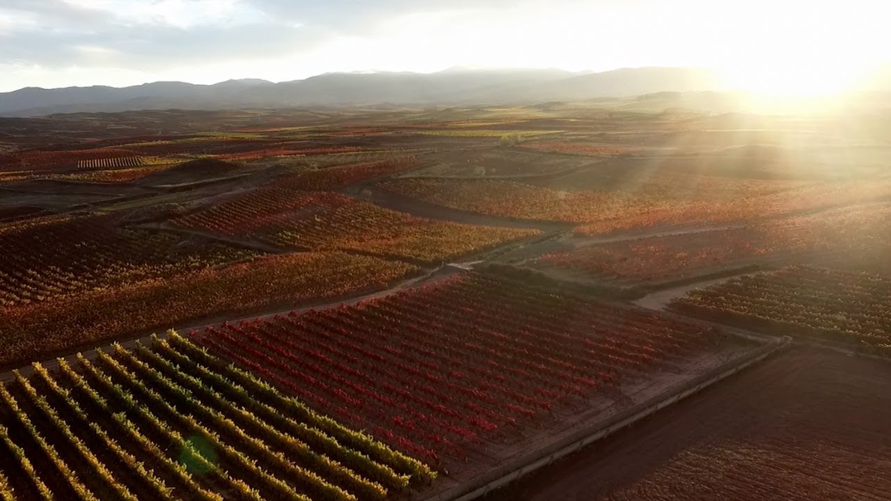Bodegas Muga &middot; Oceans of vineyards, oceans of passion (english)