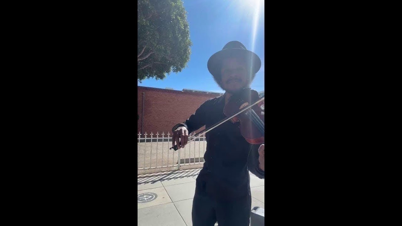 violin Music Live in LA