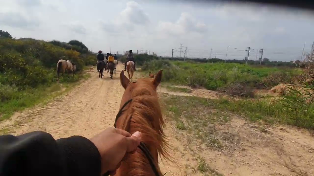 טיול סוסים חוות אופיר