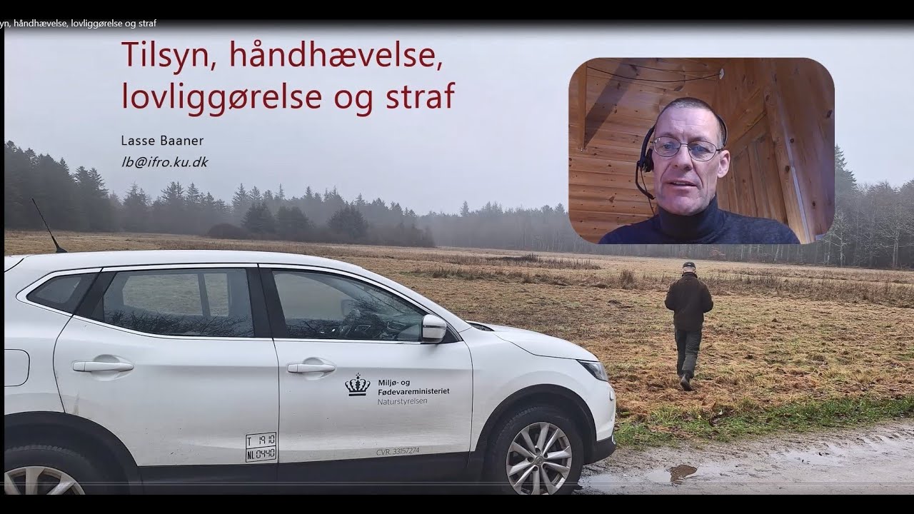 Tilsyn, håndhævelse, lovliggørelse og straf