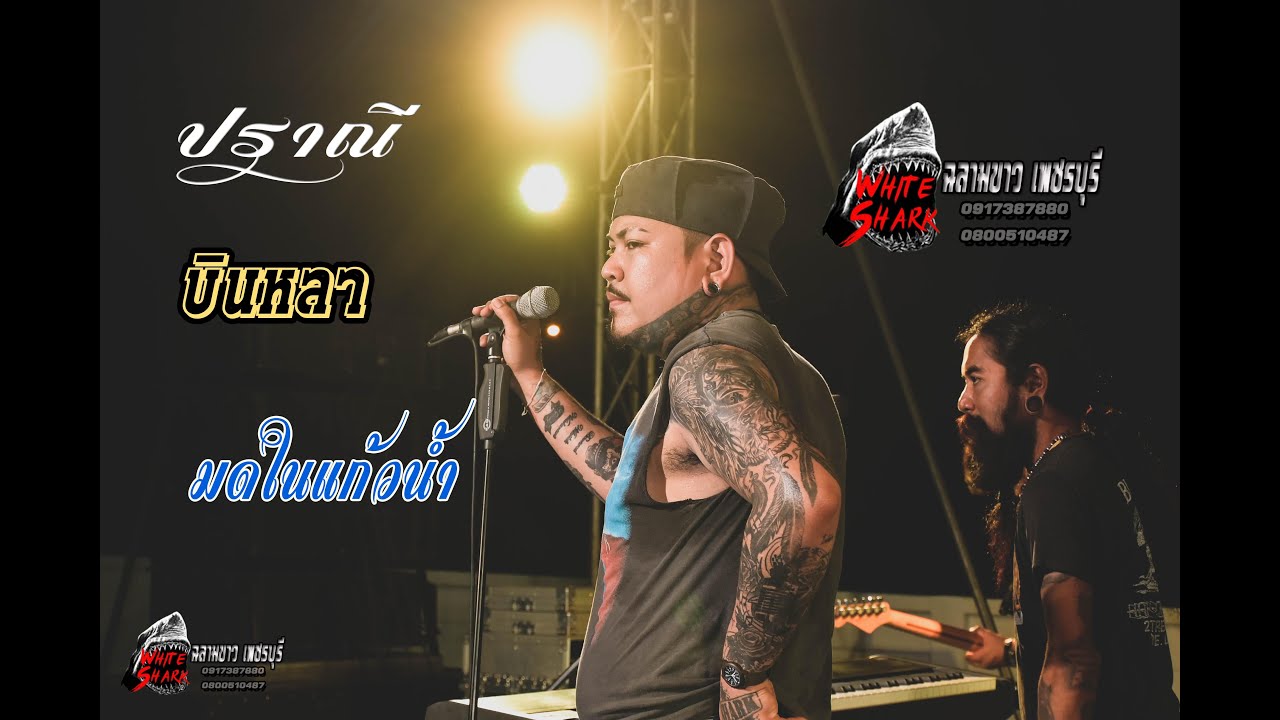 เพลงช้าๆ เพราะๆ ฉลามขาว เพชรบุรี