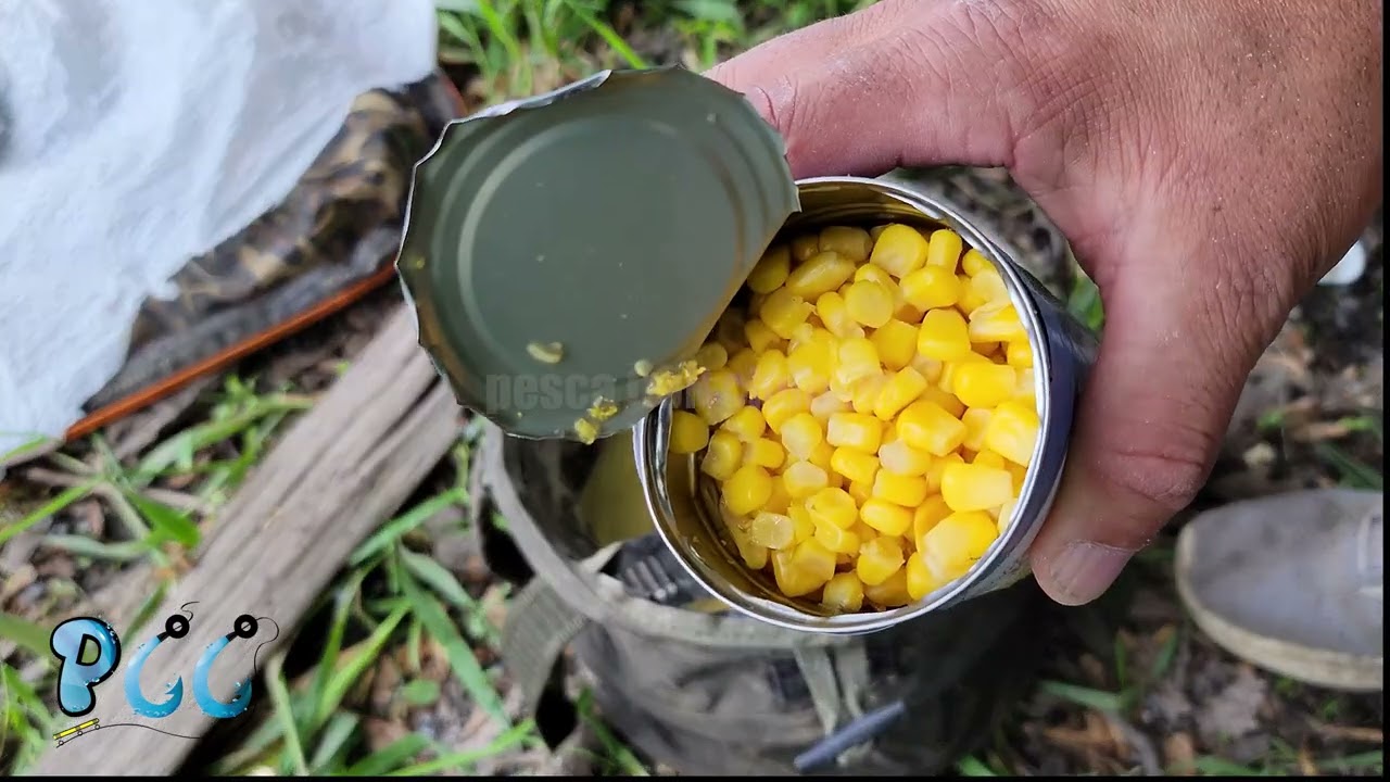 esta es la mejor carnada para pescar te la recomiendo