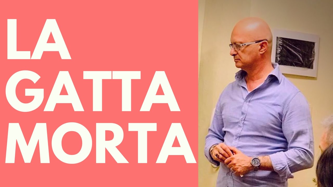 5 Cose da sapere sulla Gatta Morta