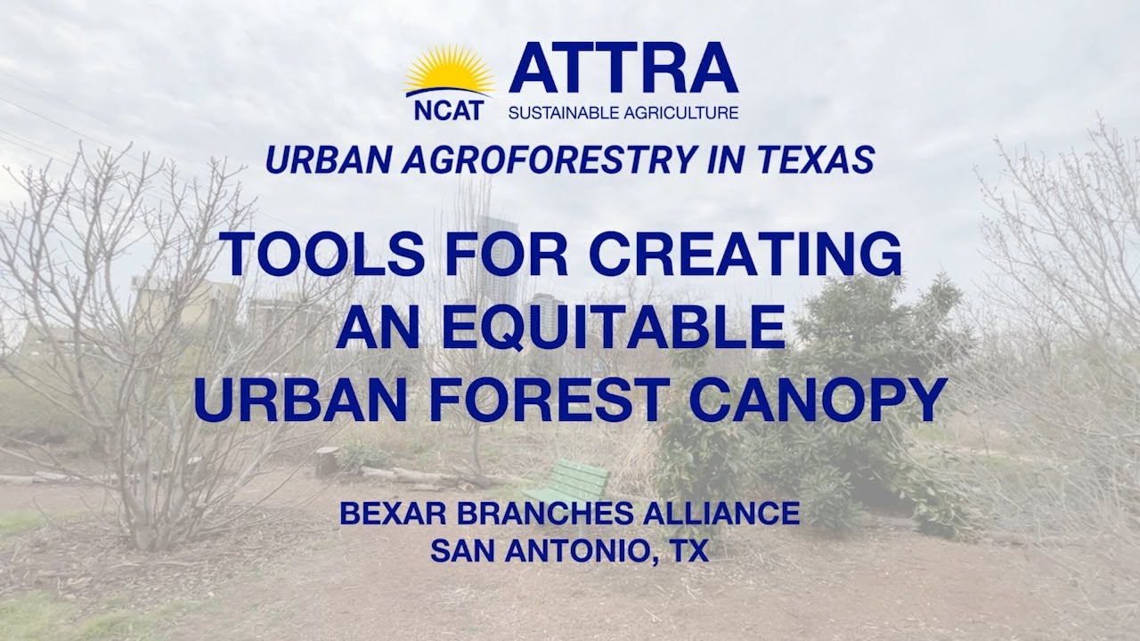 Tools for Creating an Equitable Urban Forest Canopy