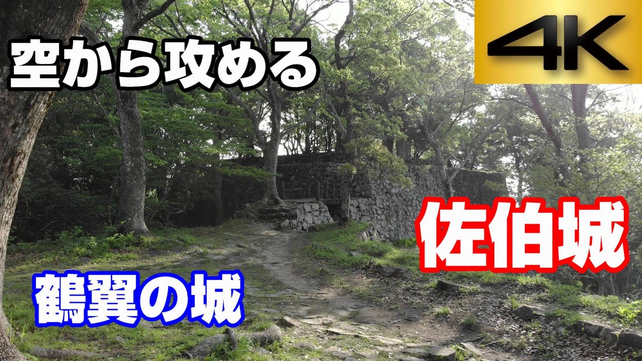 【鶴翼の城】佐伯城【空から攻める山城】