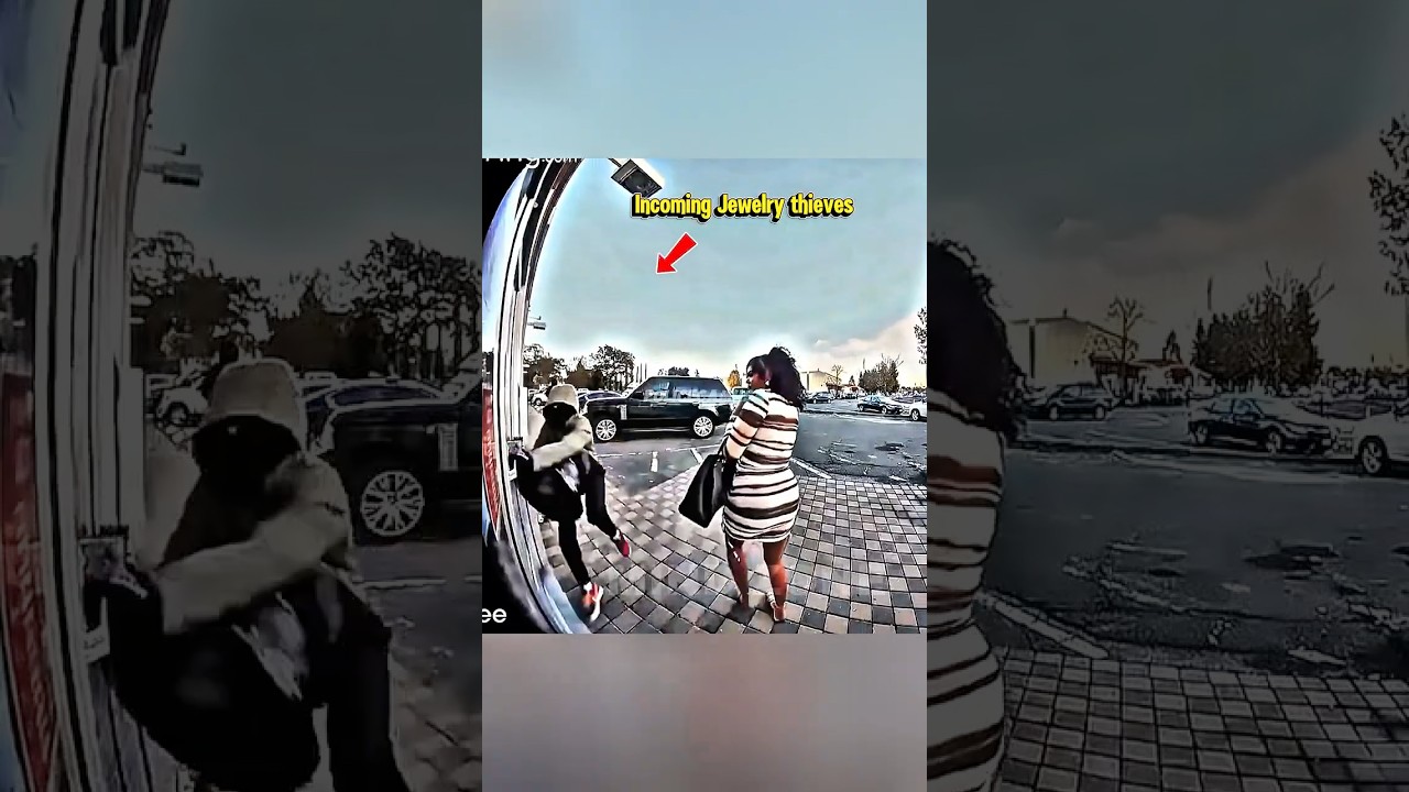 Robbery Suspects Get Surprised By Store Owner