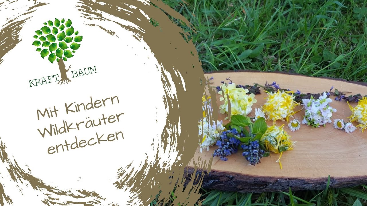 092 Mit Kindern Wildkräuter entdecken